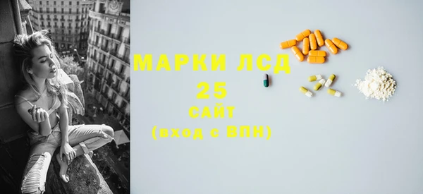 индика Дмитриев