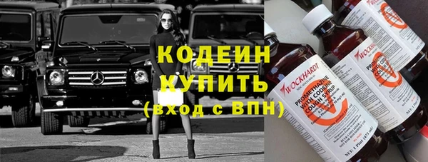 индика Дмитриев