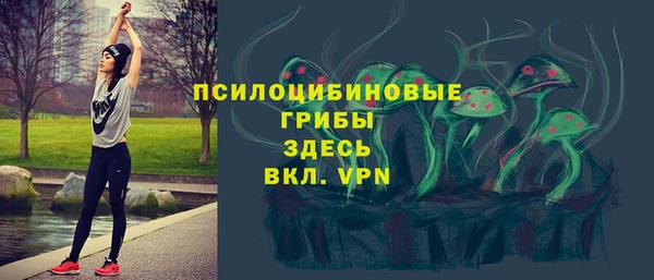 индика Дмитриев