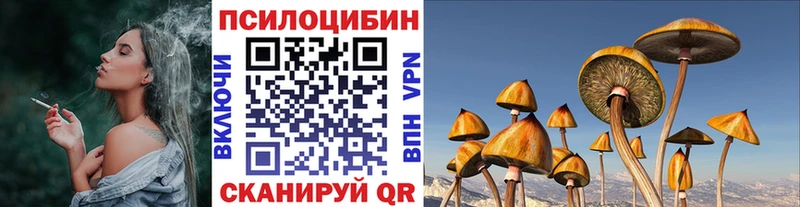 МЕГА вход  Великие Луки  Галлюциногенные грибы Psilocybine cubensis 